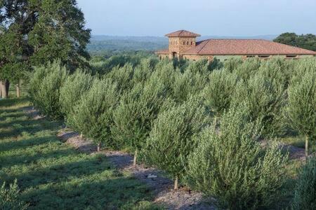 Hébergement de vacances The Outlook - And Deck Views Of Hill Country *