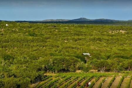 The Outlook - And Deck Views Of Hill Country Hébergement de vacances